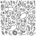 Set of foxes with mushrooms, leaves, flowers and branches. Black and white vector illustration