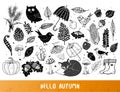 Autumn doodle collection. Fall illustration. Set of autumn design elements. Umbrellas, leaves, mushrooms, forest animals