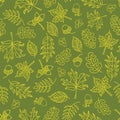 Autumn doodle leaves seamless vector background. Lime green leaves on a green background. Acorns, oak tree, maple tree pattern.