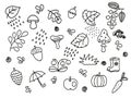 Autumn doodles on a white background leave mushrooms berries pumpkin nuts carrots boots umbrella