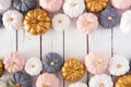 Autumn double border of dusty rose, white, gold and gray pumpkins on a white wood background