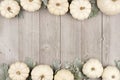 Double border of white pumpkins and silver leaves over gray wood