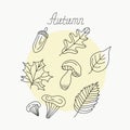 Autumn drawings. Set of hand drawn sketches: mushrooms, acorn and leaves.