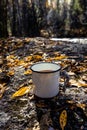 Autumn drink. Enameled cup of coffee or tea on autumn landscape outdoors. tea in an iron travel mug in the autumn forest.