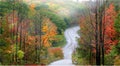 Autumn drive Royalty Free Stock Photo