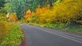 An Autumn Drive in the Countryside - Panorama Royalty Free Stock Photo
