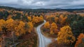 Autumn Drive: Scenic Road Through Sweden\'s Fall Foliage Royalty Free Stock Photo