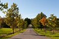 Autumn driveway Royalty Free Stock Photo