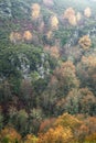 Among the autumn drizzle landscape of poplars and oaks in a valley with granite cliffs