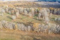 Autumn dry agriculture field aerial view. Autumn landscape, dry meadow fields with trees and blue sky Royalty Free Stock Photo