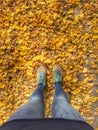Girl Legs and dry leaf