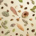 Autumn dry leaves on khaki brown background