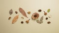 Autumn dry leaves on khaki brown background