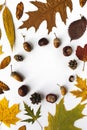 Autumn dry leaves with a round frame in the center