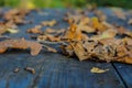 autumn dry leaves on a table macro