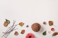 Autumn dry plants and space from top Royalty Free Stock Photo