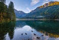 Autumn early morning alpine Jaegersee lake with duck flock and mountains above, Kleinarl, Austria Royalty Free Stock Photo