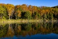 Shiga Kogen Early morning view of autumn leaves at Kido Pond. Royalty Free Stock Photo