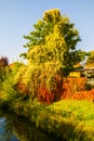 Autumn edge at pond Royalty Free Stock Photo