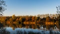 Autumn at the edge of the pond Royalty Free Stock Photo