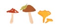 Autumn edible and inedible mushrooms. Birch boletus, fly agaric and chanterelle. Fresh fall forest food. Seasonal fungi