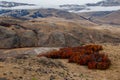 Autumn in El Chalten, Fitz Roy, Argentina Royalty Free Stock Photo