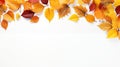 Autumn Elegance: Leaves Adorn a Background Design with Copy Space, Offering a Blank Canvas for Creativity