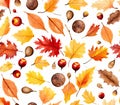 Seamless maple Leaf and Chestnuts Elegance autumn seasons red orange yellow Royalty Free Stock Photo