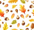 Seamless maple Leaf and Chestnuts Elegance autumn seasons red orange yellow Royalty Free Stock Photo