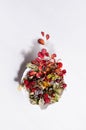 Autumn elegant background with red dried berries and leaves rose hip  in leaf bowl in sunshine with shadow on soft light white. Royalty Free Stock Photo