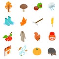 Autumn elements icons set, isometric 3d style Royalty Free Stock Photo