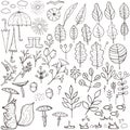 Autumn elements set, floral hand draw designs. Botanic vector stock illustration, EPS 10. Royalty Free Stock Photo