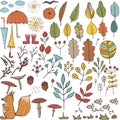 Autumn elements set, floral hand draw designs. Botanic vector stock illustration, EPS 10. Royalty Free Stock Photo