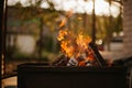 Autumn Ember Feast: Fire Grill in the Backyard