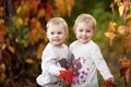 Autumn emotional portrait of little twin girls. Pretty little girls with red grape leaves in autumn park. Autumn activities for Royalty Free Stock Photo
