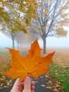 Autumn Royalty Free Stock Photo