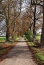 Autumn in an English rural Lane Royalty Free Stock Photo