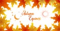 Autumn equinox vector illustration. September 22. Concept design with maple leafs in darker and lighter color Royalty Free Stock Photo