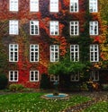 Autumn in Europe, house wall covered by leaves in various bright colours