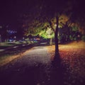 Autumn evening with lantern light