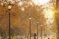 An autumn evening in Parque Forestal, the most traditional and emblematic park in downtown Santiago Royalty Free Stock Photo