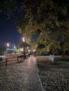 Autumn Evening Stroll Serene Park Path Illuminated by Lamplight, Leaf-Strewn Sidewalk Royalty Free Stock Photo