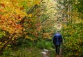 Autumn fairy with senior walking in forest