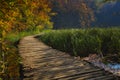 Autumn fairytale in the national park.