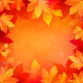 Autumn, fall background with bright golden maple leaves