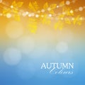 Autumn, fall background with maple and oak leaves and lights,