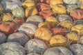 Autumn Fall background with ripe different organic pumpkins on dry straw. Harvest concept. Symbol of Thanksgiving Day Royalty Free Stock Photo