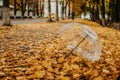 Autumn fall background with transparent umbrella on fallen yellow maple leaves. Trend umbrella with orange leaf lies on the ground Royalty Free Stock Photo