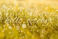 Autumn, fall banner with greeting Hello October, golden field with meadow grass, in sunset rays