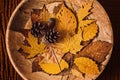 Autumn fall brown earthy tones background with dry maple leaves in round plate.